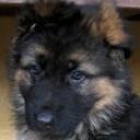 Profile picture for user Barbara80