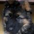Profile picture for user Barbara80