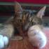 Profile picture for user Dorota1986