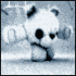 Profile picture for user SiB