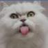 Profile picture for user Sigryda