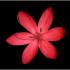 Profile picture for user AnnMarie7