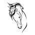 Profile picture for user be-erka 51