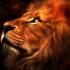 Profile picture for user Antol007