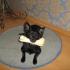 Profile picture for user Urszula40